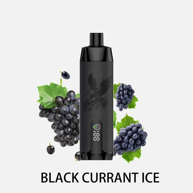 MT12000-Black-Currant-Ice