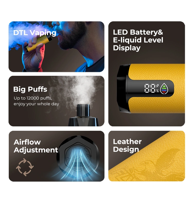 DTL wegwerp-vape, tot 12.000 puffs, LED-batterij/liquidniveau, verstelbare airflow, lederdesign.